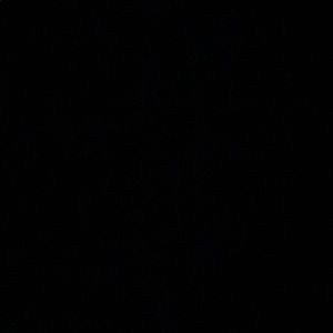 Meet your Posher, Savannah